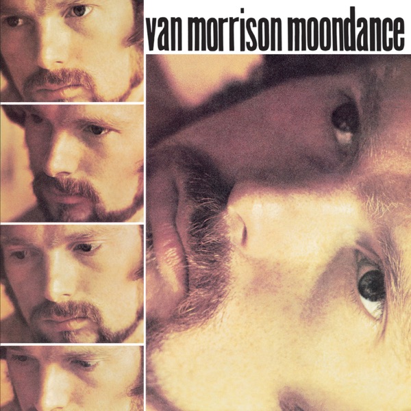 Moondance — Van Morrison album cover